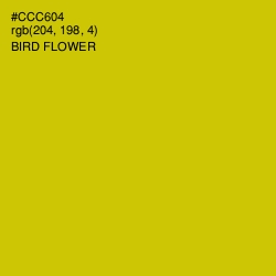 #CCC604 - Bird Flower Color Image